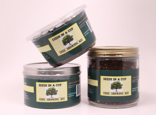 Seeds In A Cup- Tree Grow Kit Pistachio