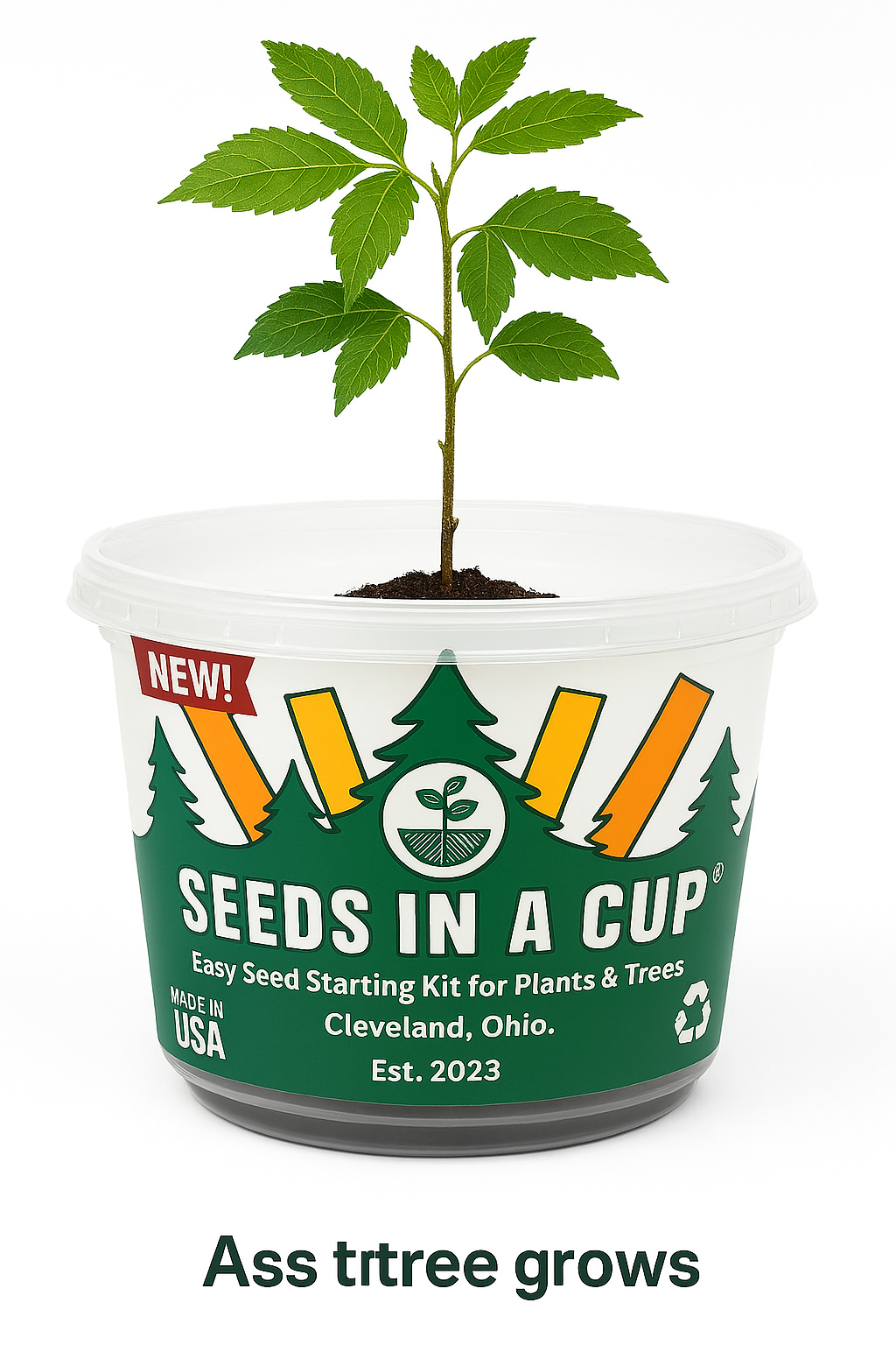 Southern Magnolia Tree | Seed Starter Grow Kit | Seeds In A Cup®