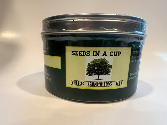 Seeds in a Cup-Tree Growing Kit- Tin Planter- Japanese Maple