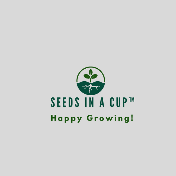 SEEDS IN A CUP
