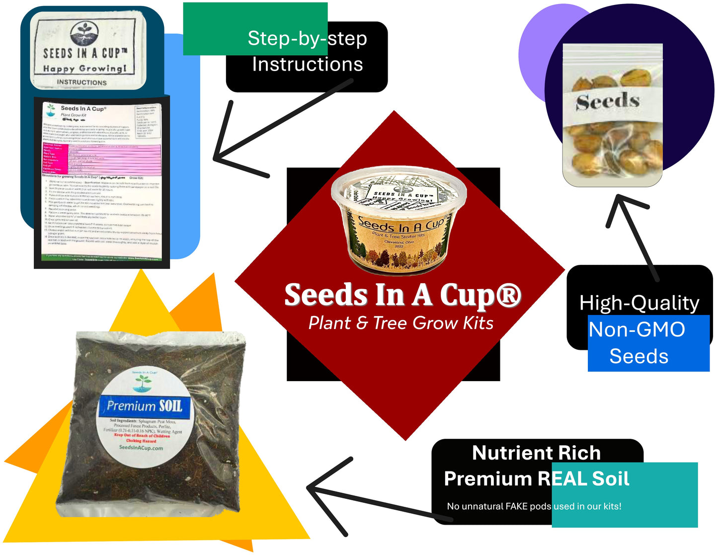 Southern Magnolia Tree | Seed Starter Grow Kit | Seeds In A Cup®
