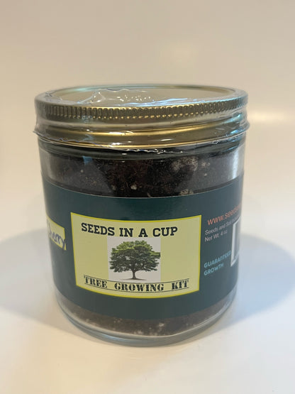 Seeds In A Cup: Tree Growing Kit - Cedar