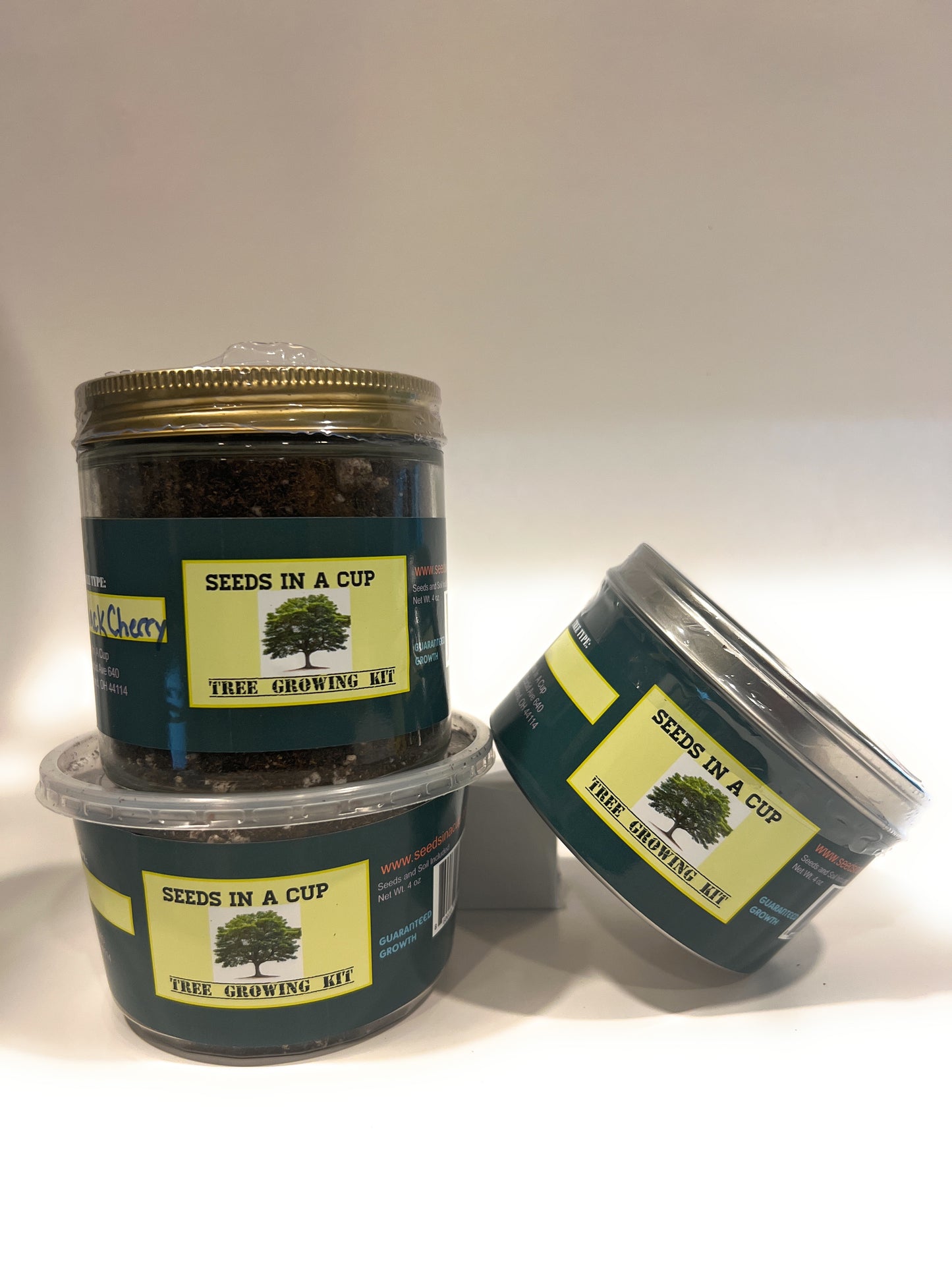 Seeds In A Cup: Tree Grow Kit - American Ash