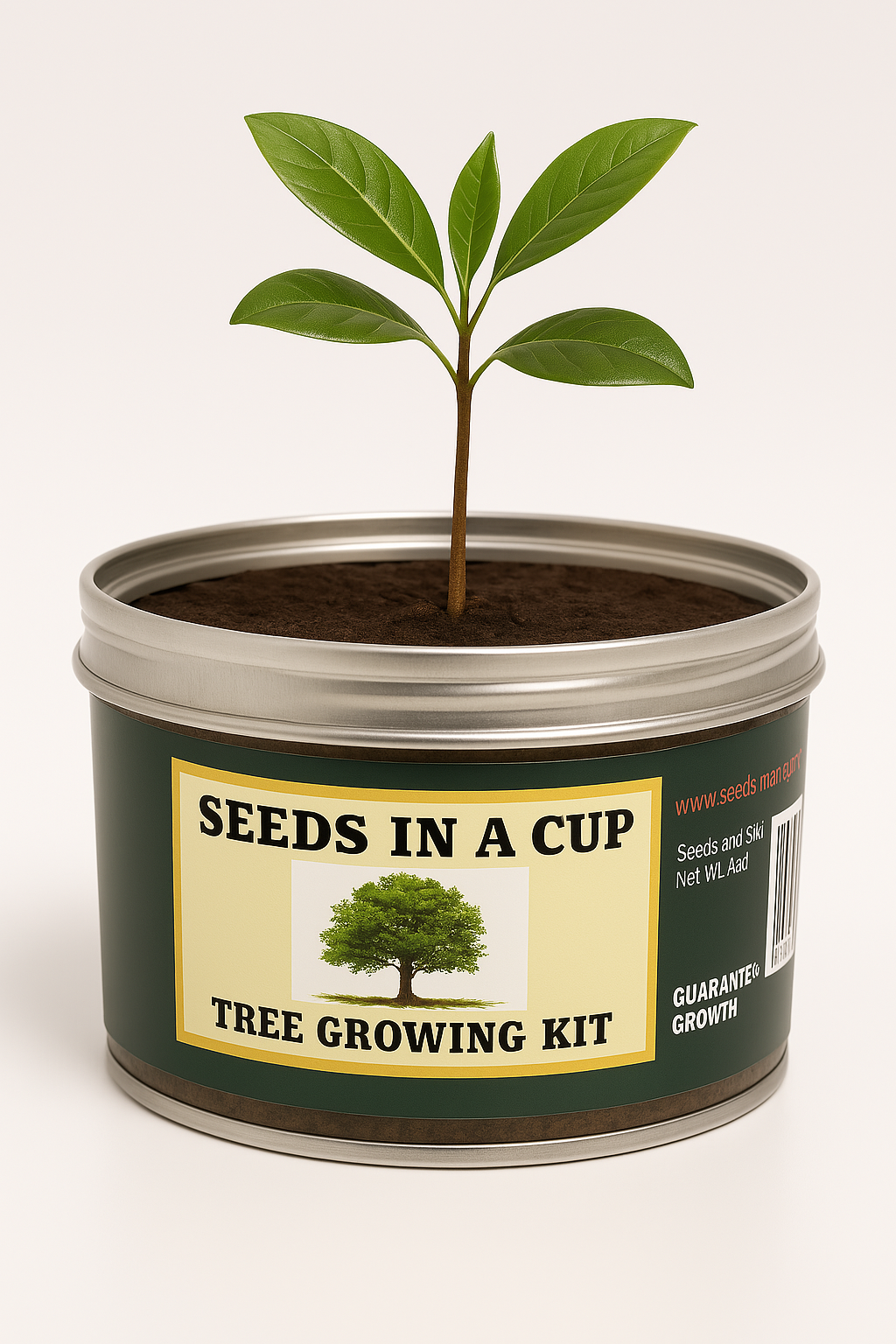 Southern Magnolia Tree | Seed Starter Grow Kit | Seeds In A Cup®