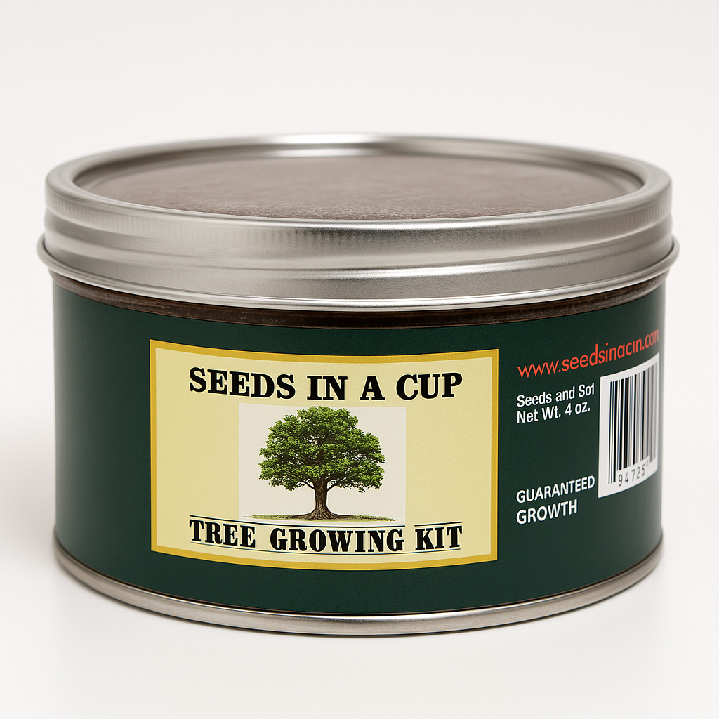 Southern Magnolia Tree | Seed Starter Grow Kit | Seeds In A Cup®