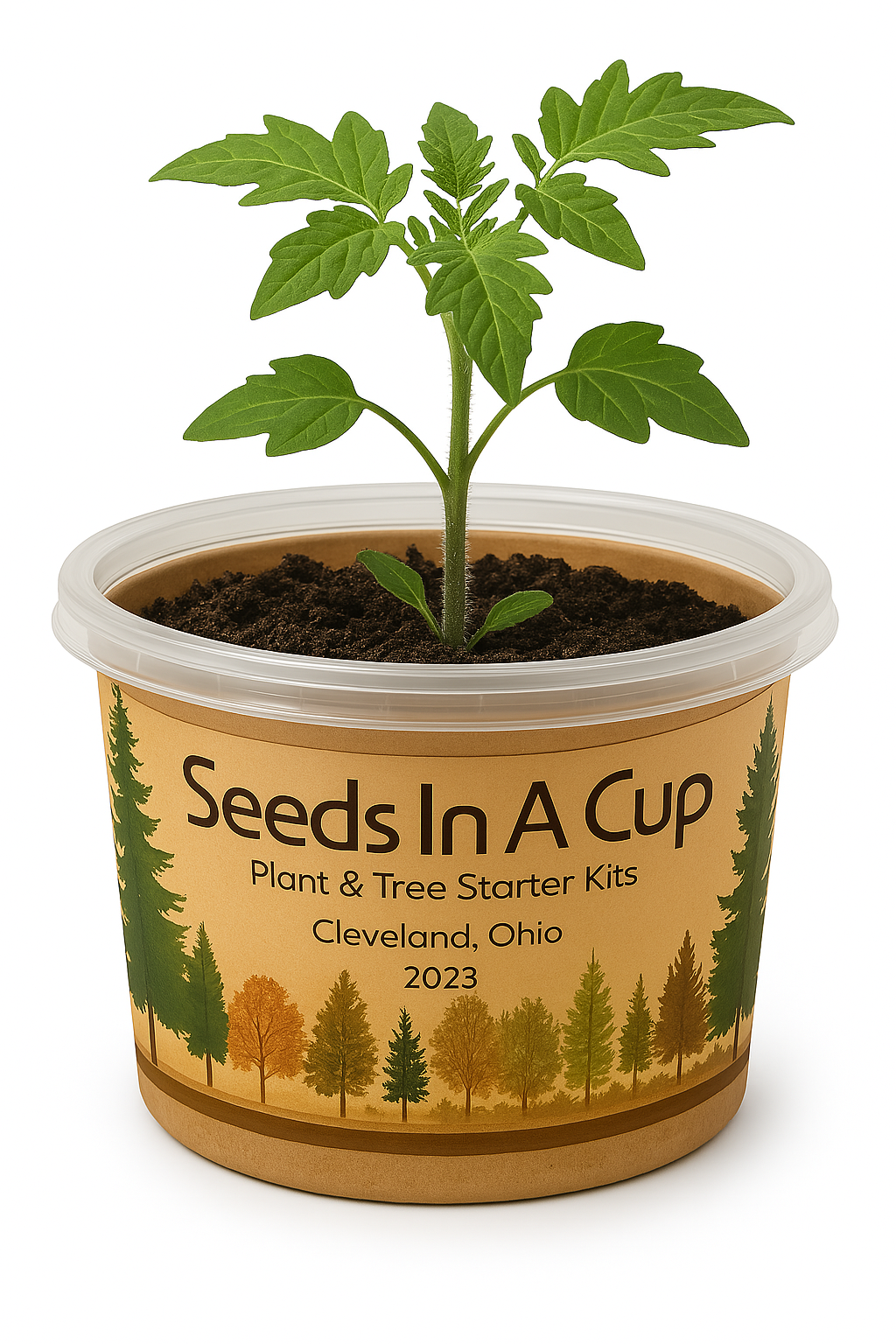 Banana Pepper | Plant Starter Grow Kit | Seeds In A Cup®