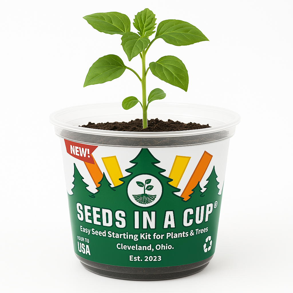 Southern Magnolia Tree | Seed Starter Grow Kit | Seeds In A Cup®