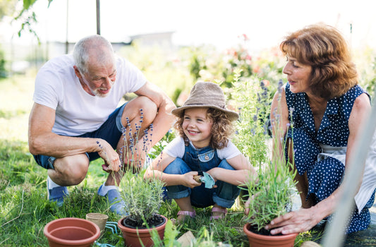 Teaching Children to Garden: Benefits and Fun with Plant Grow Kits.