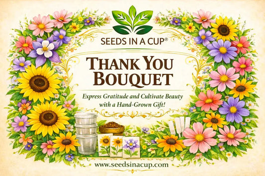 thank you grow gift kit