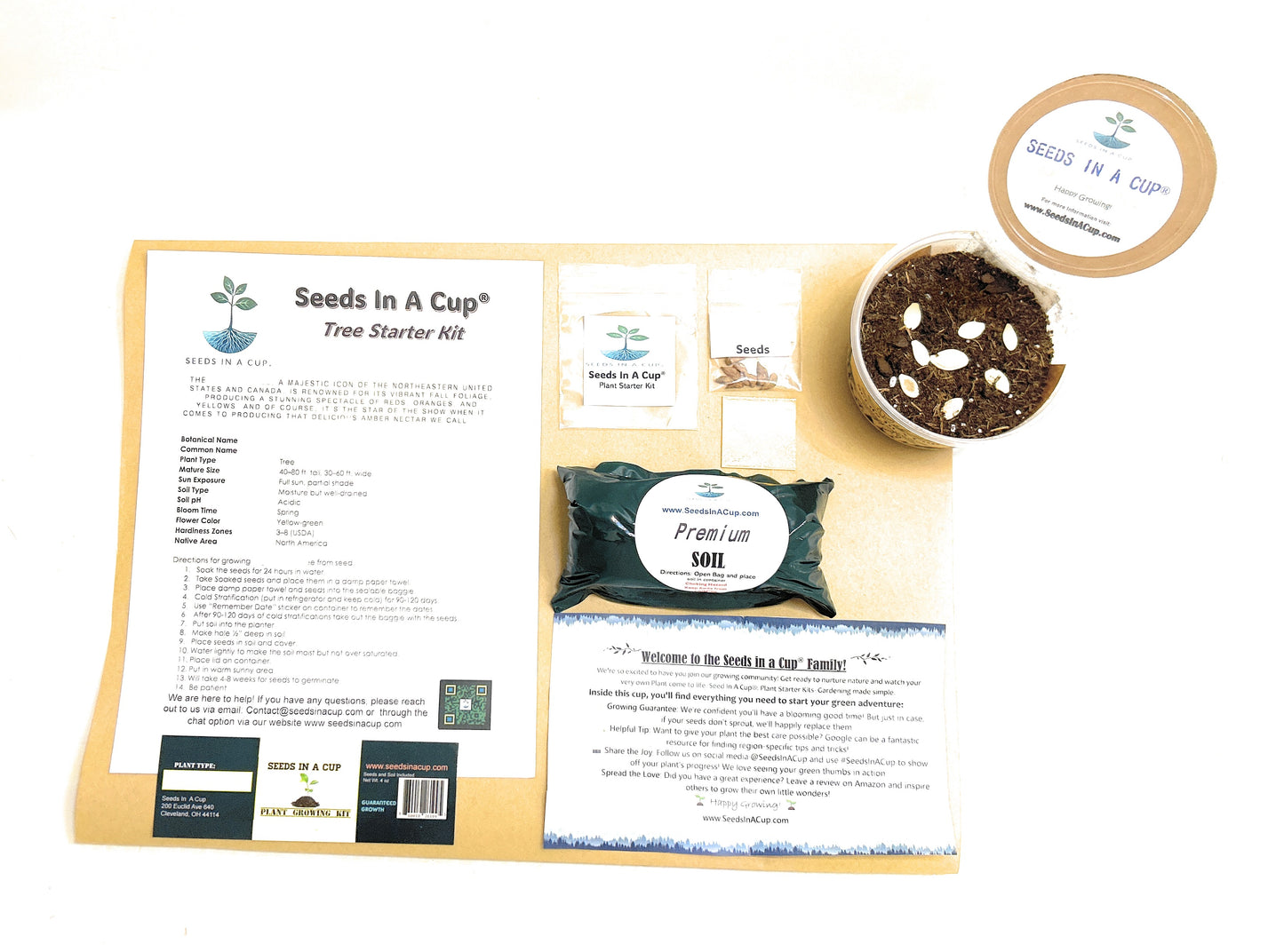 American Holly | Tree Seed Starter Grow Kit | Seeds In A Cup®