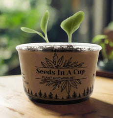 Image of American Elm Tree  |  Seed Starter Grow Kit  |  Seeds In A Cup® plant kit for growing seeds