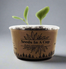 Cedar Tree |  Seed Starter Grow Kit  |  Seeds In A Cup® thumbnail