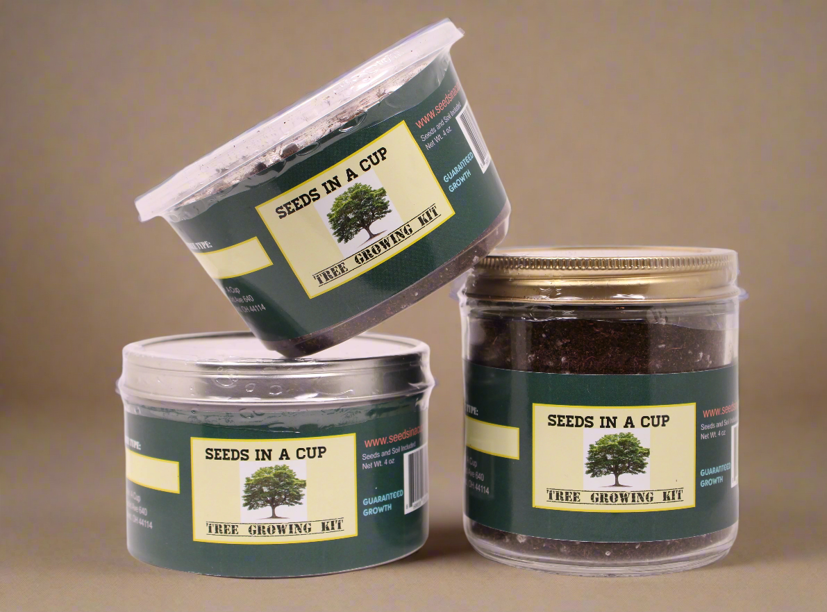 Mahogany Tree | Seed Starter Grow Kit | Seeds In A Cup®