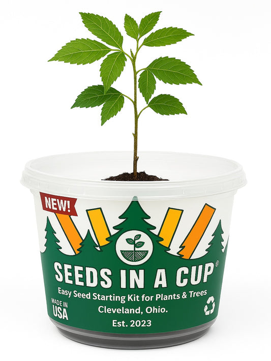 Seeds In A Cup® Original Tree Grow Kit- Multiple Varieties