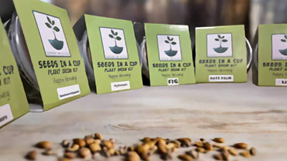 Coffee Arabica Tree | Seed Starter Grow Kit | Seeds In A Cup®