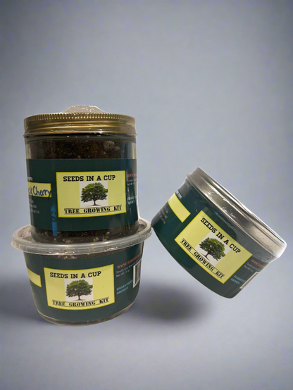 Black Cherry Tree | Seed Starter Grow Kit | Seeds In A Cup®