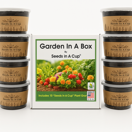 Garden easy seeds soil all in one kit plant vegetable herb