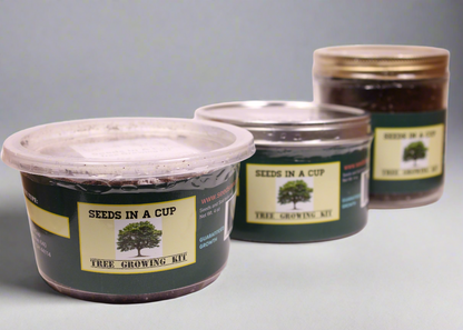 Black Cherry Tree | Seed Starter Grow Kit | Seeds In A Cup®