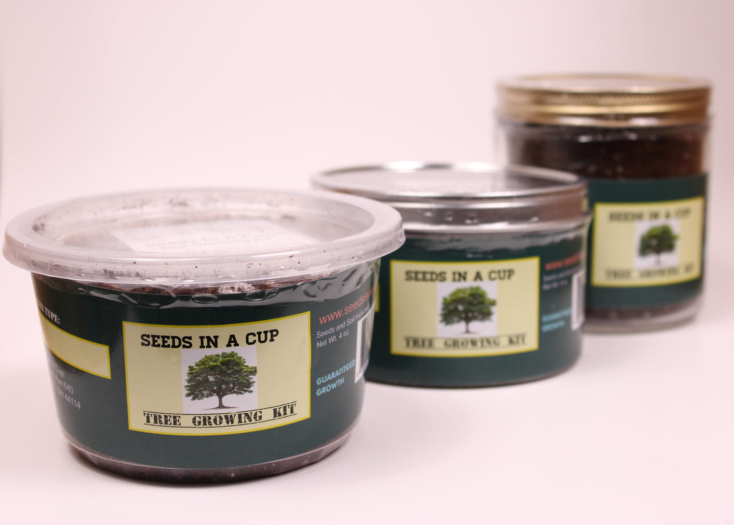Seeds In A Cup- Tree Grow Kit: Date Palm
