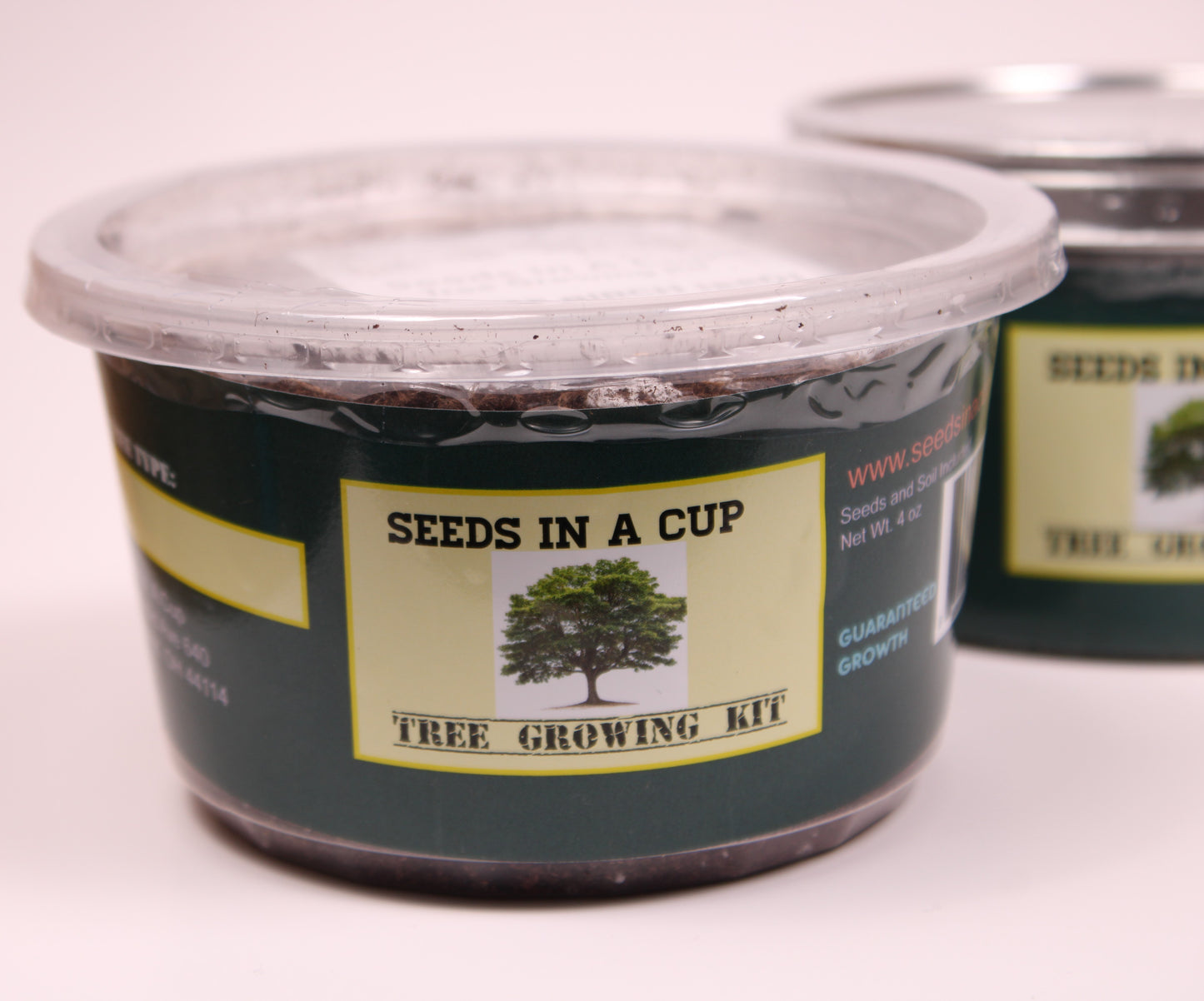 Seeds In A Cup- Tree Grow Kit: Black Cherry