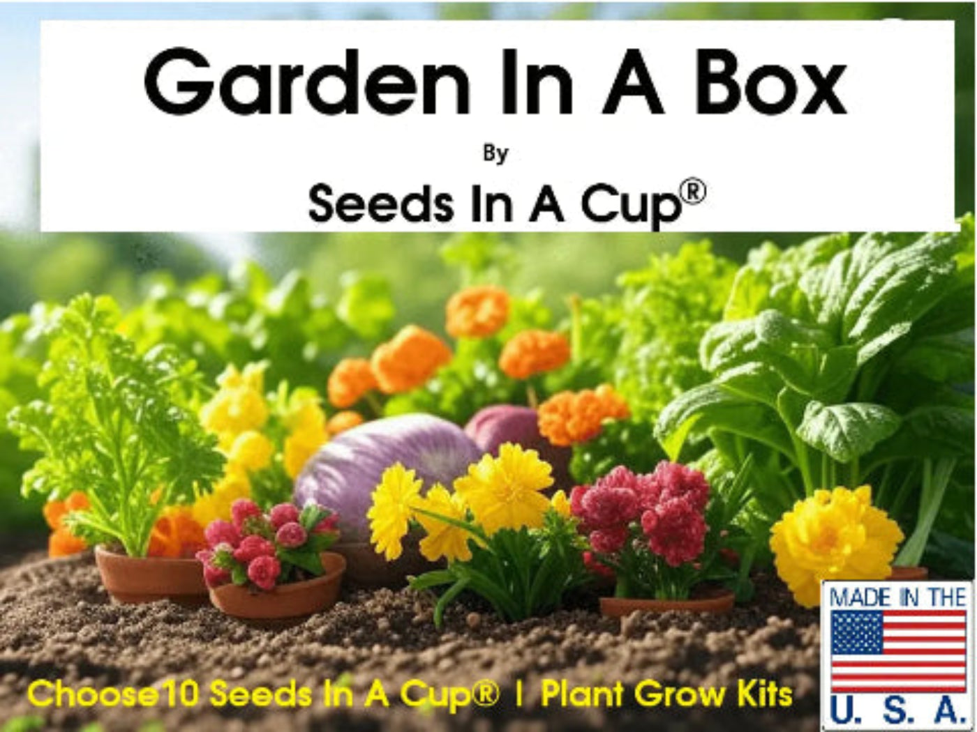 garden in a box from seeds in a cup garden supplies
