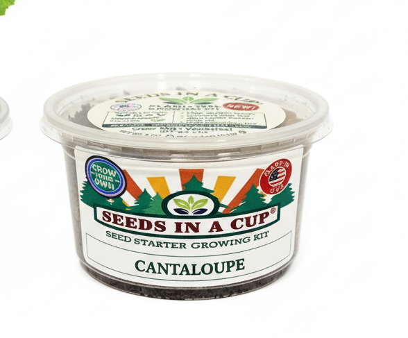 Cantaloupe (Cucumis melo var. cantalupensis) seed starter kit contents: premium non-GMO seeds, nutrient-rich loose potting soil, and recyclable planter with humidity lid by Seeds In A Cup - Made in USA.