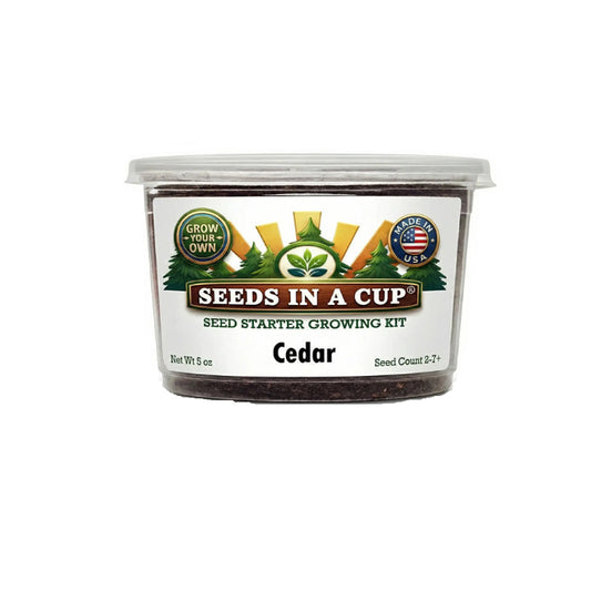 Seeds In A Cup Cedar Tree (Cedrus spp.) Grow Kit - Complete seed starter with recyclable planter, non-GMO seeds, and real potting soil. Hand-assembled in Cleveland, Ohio, USA.
