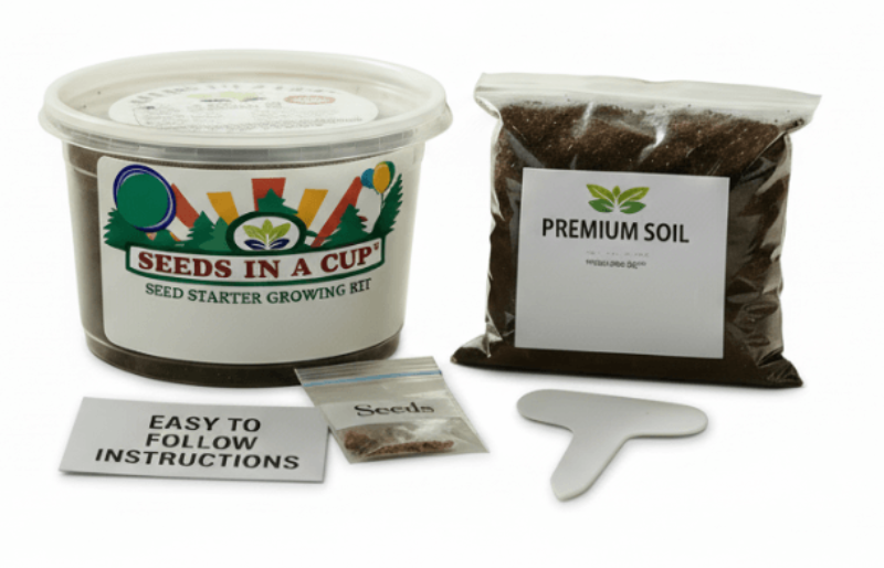 Seeds In A Cup Powderpuff Aster grow kit with all contents: non-GMO seeds, real loose potting soil, recyclable planter, and growing instructions. Made in Cleveland, Ohio.