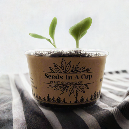 American Ash Tree  |  Seed Starter Grow Kit  |  Seeds In A Cup®