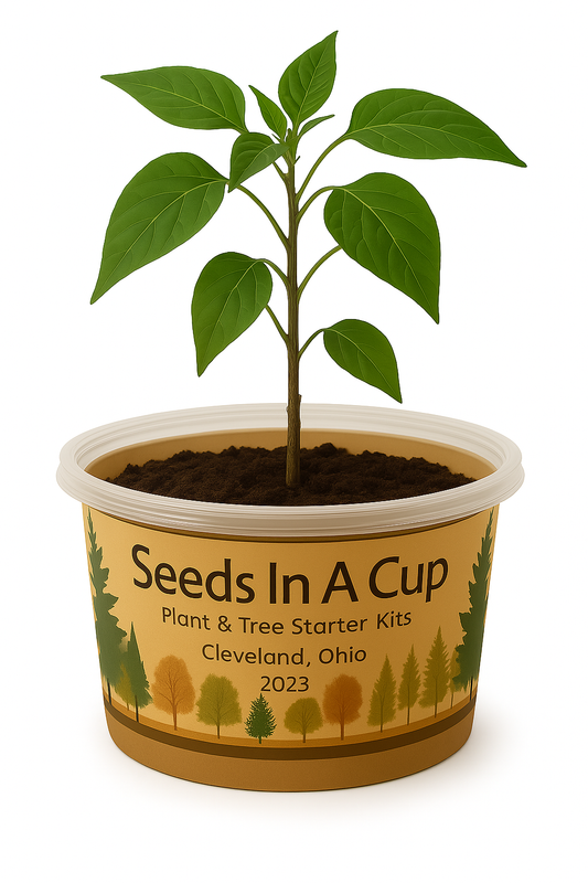 Banana Pepper | Plant Starter Grow Kit | Seeds In A Cup®