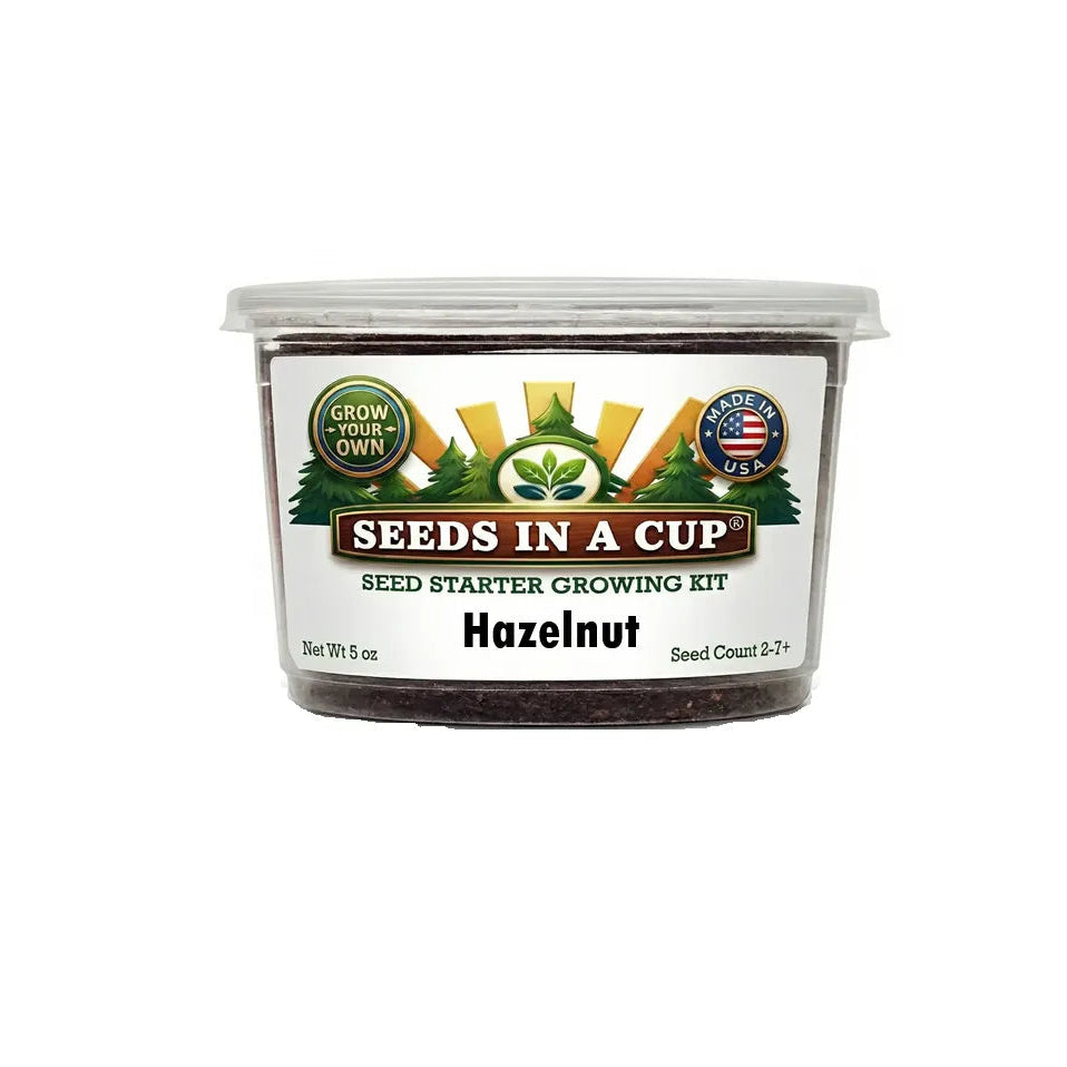 Seeds In A Cup® Hazelnut (Corylus avellana) seed starter grow kit on a white background — non-GMO seeds, real potting soil, recyclable planter. Made in Cleveland, Ohio, USA.