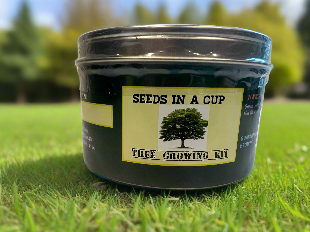 Oak Tree | Seed Starter Grow Kit | Seeds In A Cup®