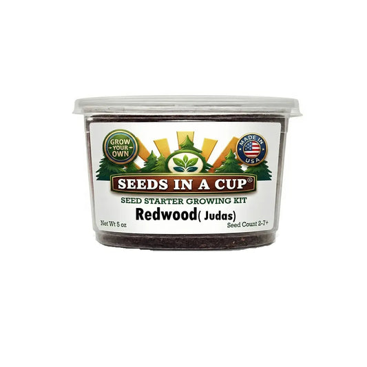Seeds In A Cup® Judas Tree (Cercis siliquastrum) seed starter grow kit with 3-step instructions on a white background — non-GMO seeds, real potting soil, recyclable planter. Made in Cleveland, Ohio, USA.