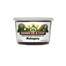 Mahogany tree grow kit easy to grow from seed