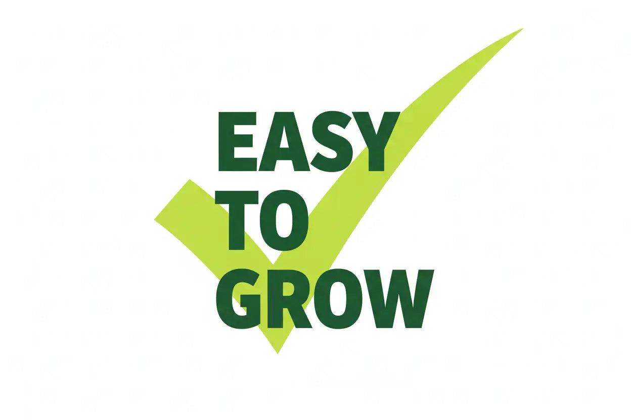 Vegetable & Herb Grow Kit