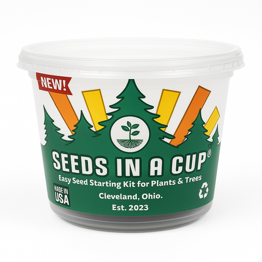 Southern Magnolia Tree | Seed Starter Grow Kit | Seeds In A Cup®