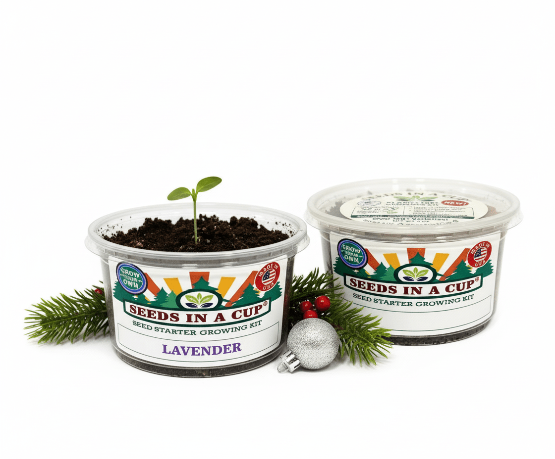 Lavender (Lavandula angustifolia) seed starter kit contents: premium non-GMO seeds, nutrient-rich loose potting soil, and recyclable planter with humidity lid by Seeds In A Cup - Made in USA.