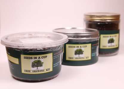 Kiwi Vine |  Seed Starter Grow Kit  |  Seeds In A Cup® - Seeds In A Cup®
