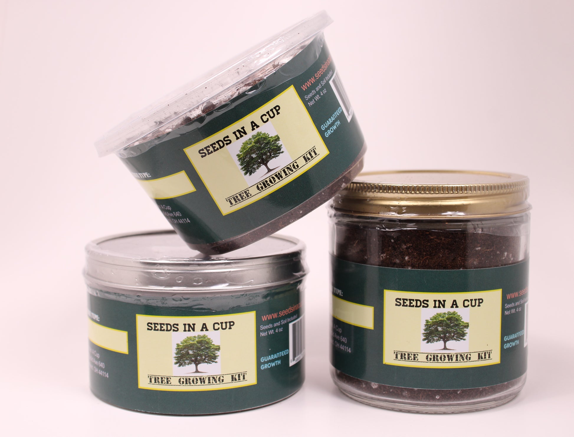 Red Raspberry | Shrub Seed Starter Grow Kit | Seeds In A Cup® - Seeds In A Cup®