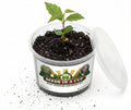 Growing & Germination