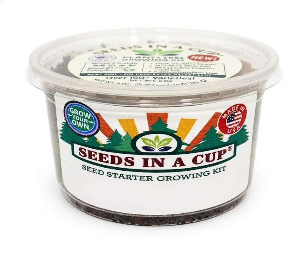 How to plant Lemon Balm (Melissa officinalis) seeds: Step-by-step seed starting process using the Seeds In A Cup grow kit with real soil and moisture-retaining lid.