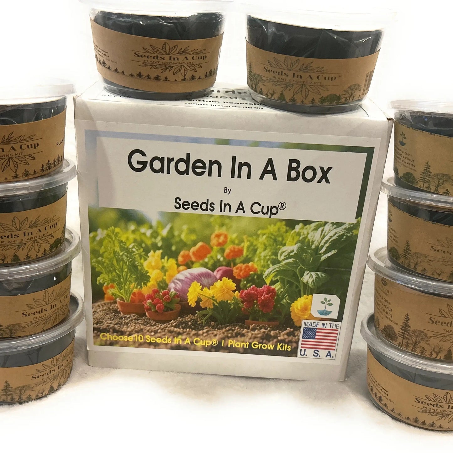 American Ash | Tree Grow Kit  |  Seeds In A Cup®