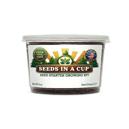 Healthy seedling thriving after transplant from a Seeds In A Cup® seed starter kit — high-germination non-GMO kits with real potting soil, hand-assembled in Cleveland, Ohio.
