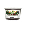 Seeds In A Cup Spinach (Spinacia oleracea) Grow Kit - Complete seed starter with recyclable planter, non-GMO seeds, and real potting soil. Hand-assembled in Cleveland, Ohio, USA.