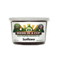Seeds In A Cup Sunflower (Helianthus annuus) Grow Kit - Complete seed starter with recyclable planter, non-GMO seeds, and real potting soil. Hand-assembled in Cleveland, Ohio, USA.