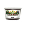 Seeds In A Cup Thyme (Thymus vulgaris) Grow Kit - Complete seed starter with recyclable planter, non-GMO seeds, and real potting soil. Hand-assembled in Cleveland, Ohio, USA.